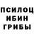 Галлюциногенные грибы мицелий Planshet Petrovich