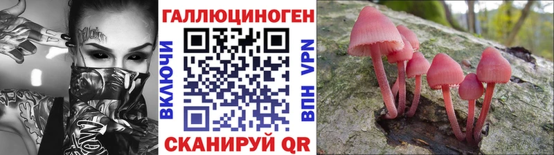 кракен зеркало магазин продажи наркотиков Лыткарино Галлюциногенные грибы GOLDEN TEACHER