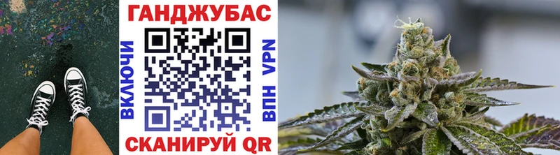 магазин продажи наркотиков  Лыткарино  darknet Telegram  Канабис конопля 